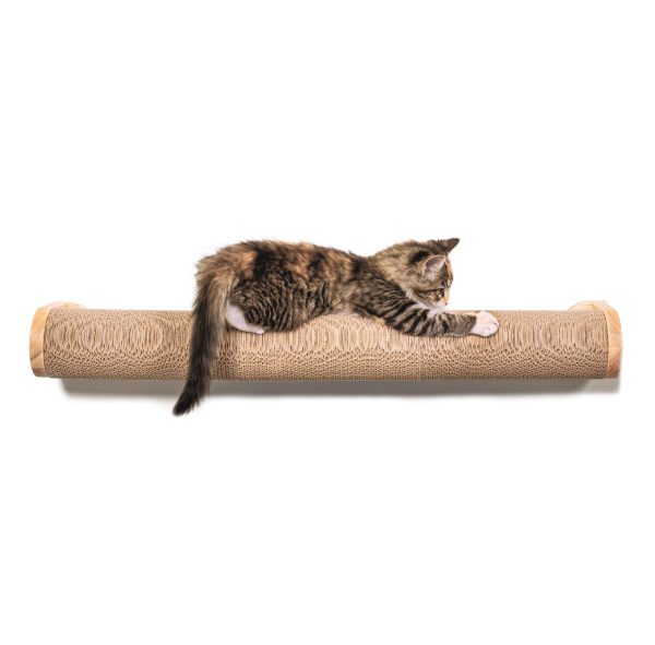 Ascentials by FurHaven Moonbeam Path - Modern Wall-Mounted Cat Furniture, Cat Wall Shelves, Perch for Climbing, Scratching, Cat Climber, Wall Climbing System, Cat Wall Furniture, DIY Cat Wall Climber